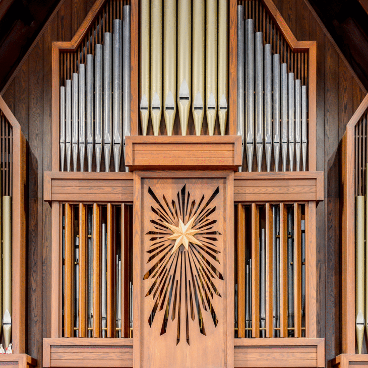 organ_web photo